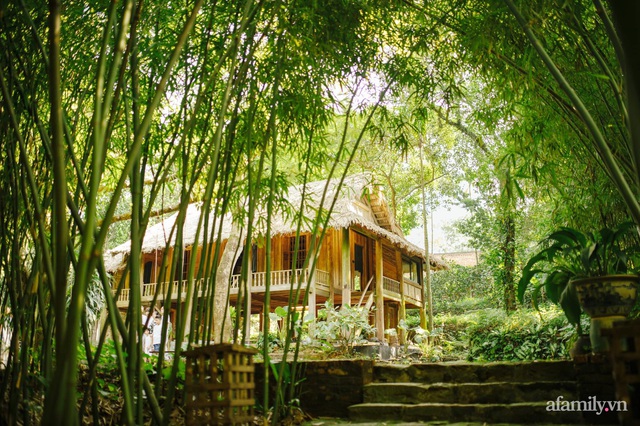Cuộc sống yên bình trong ngôi nhà nhỏ và khu vườn xanh mát bóng cây ở ngoại thành Hà Nội - Ảnh 1.