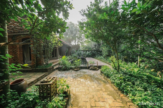 Cuộc sống yên bình trong ngôi nhà nhỏ và khu vườn xanh mát bóng cây ở ngoại thành Hà Nội - Ảnh 11.