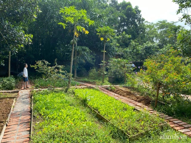 Cuộc sống yên bình trong ngôi nhà nhỏ và khu vườn xanh mát bóng cây ở ngoại thành Hà Nội - Ảnh 21.