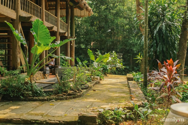 Cuộc sống yên bình trong ngôi nhà nhỏ và khu vườn xanh mát bóng cây ở ngoại thành Hà Nội - Ảnh 4.