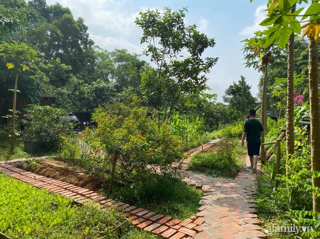 Cuộc sống yên bình trong ngôi nhà nhỏ và khu vườn xanh mát bóng cây ở ngoại thành Hà Nội - Ảnh 36.