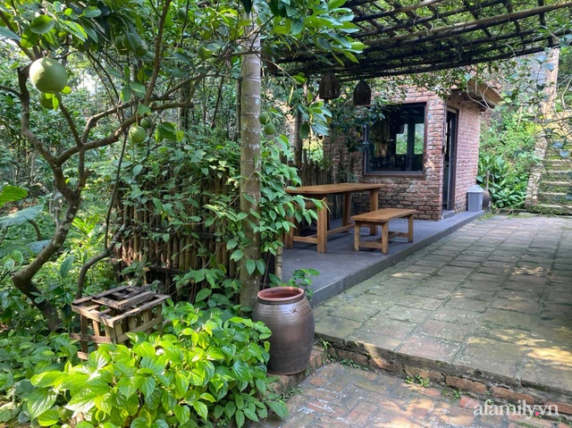 Cuộc sống yên bình trong ngôi nhà nhỏ và khu vườn xanh mát bóng cây ở ngoại thành Hà Nội - Ảnh 37.