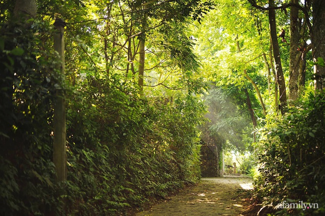 Cuộc sống yên bình trong ngôi nhà nhỏ và khu vườn xanh mát bóng cây ở ngoại thành Hà Nội - Ảnh 5.