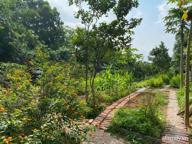Cuộc sống yên bình trong ngôi nhà nhỏ và khu vườn xanh mát bóng cây ở ngoại thành Hà Nội - Ảnh 41.