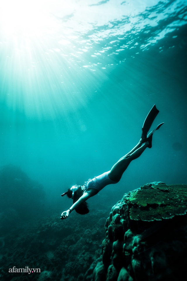 Zen Le - Cô gái Sài Gòn đam mê thể thao lặn biển đích thân trải nghiệm những tầng đại dương nguy hiểm mà không phải ai cũng được tới  - Ảnh 5.