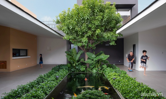 Gia đình 3 thế hệ với cuộc sống an yên trong ngôi nhà rợp mát bóng cây ở ngoại ô Sài Gòn  - Ảnh 5.