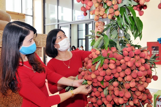 Lazada hợp tác cùng chuỗi siêu thị Vinmart và startup FoodMap bán vải thiều Bắc Giang online - Ảnh 1.