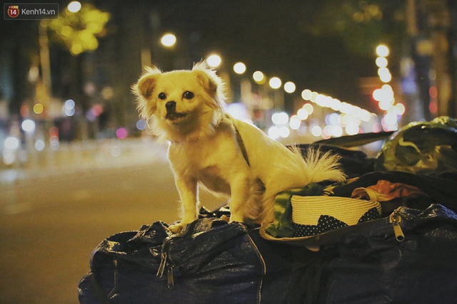  Người vô gia cư lay lắt trong đêm đầu Sài Gòn giãn cách: Con không có nhà, tối con ra Cầu Mống mà ngủ - Ảnh 27.