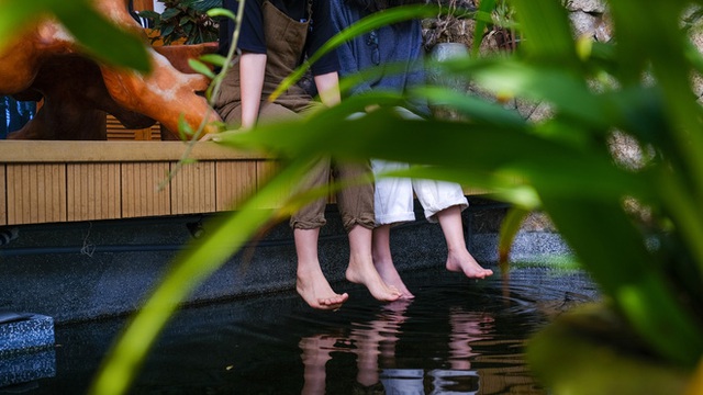  Nhà ven sông siêu chill với kiến trúc nhiệt đới, mê nhất là khu giếng trời xanh mát đến lịm người  - Ảnh 6.