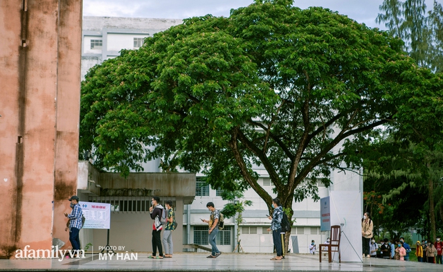  Có một Tây Đô rất lạ: Đâu rồi những tiếng rao, tiếng hò giữa chợ nổi, chỉ thấy phiên chợ một tiếng rưỡi đậm chất người miền Tây giữa lòng thành phố  - Ảnh 16.