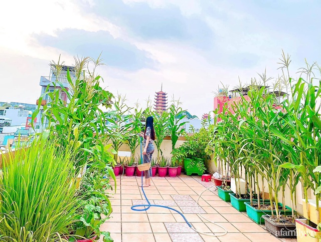 Khu vườn trên sân thượng đủ mọi loại rau sạch của nữ CEO xinh đẹp ở Sài Gòn - Ảnh 1.