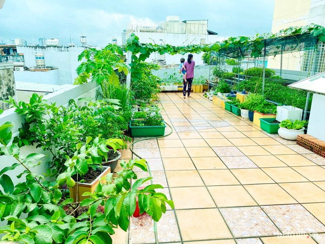Khu vườn trên sân thượng đủ mọi loại rau sạch của nữ CEO xinh đẹp ở Sài Gòn - Ảnh 19.