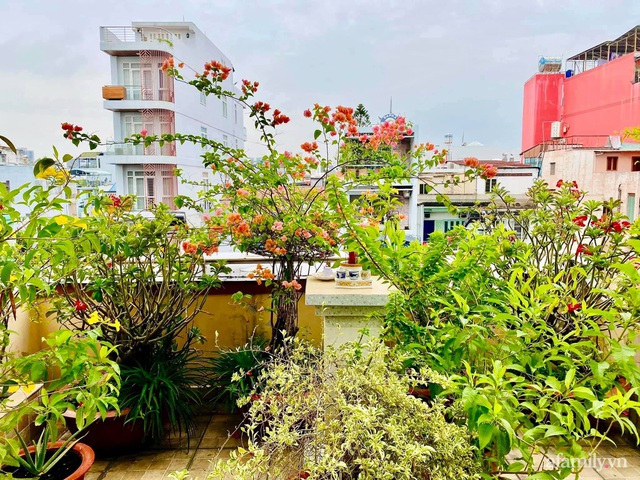 Khu vườn trên sân thượng đủ mọi loại rau sạch của nữ CEO xinh đẹp ở Sài Gòn - Ảnh 3.