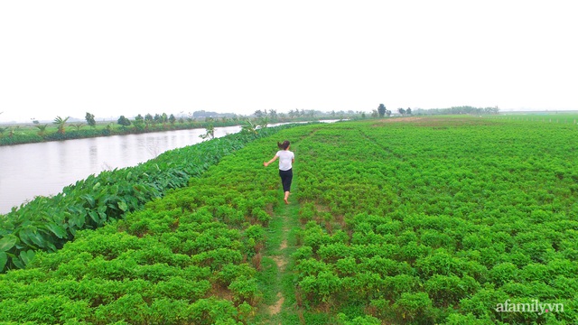 Nhiều người trẻ Việt chuộng trào lưu sống tối giản để nhẹ gánh cả tài chính và tâm hồn - Ảnh 3.