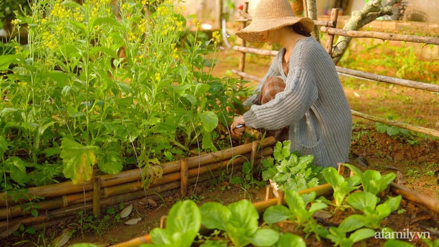 Cuộc sống yên bình bên khu vườn 2000m² sau hai năm bỏ phố về quê của cặp vợ chồng 9X  - Ảnh 1.