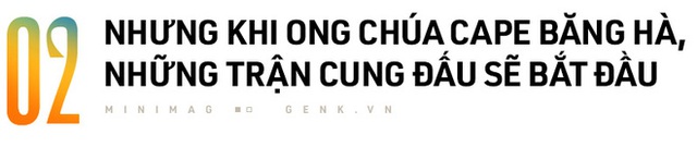 Một con ong ở Châu Phi đã tự nhân bản nó hàng triệu lần kể từ năm 1990 tới nay và tạo ra một đội quân clone bất tử - Ảnh 5.