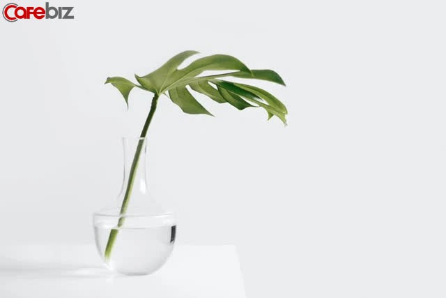 Từ những thay đổi nhỏ, tôi đã kiến tạo nên một cuộc đời khác biệt và nghiệm ra: Sống ở đời, đừng khôn lỏi - Ảnh 2.