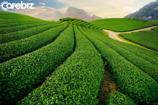 3 loại ngành nghề tưởng chừng lu mờ nhưng lại có lợi nhuận KHỦNG, bạn có biết? - Ảnh 3.