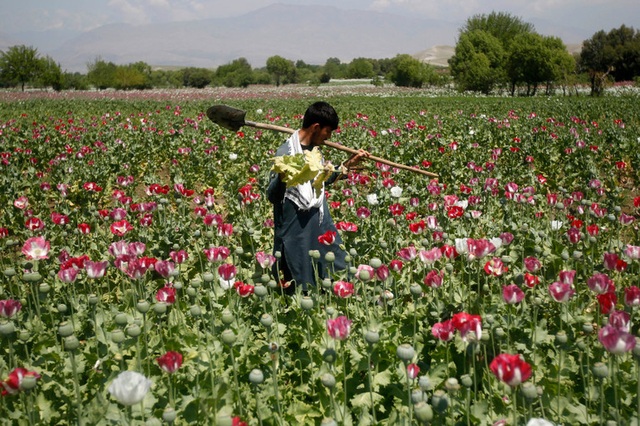  Taliban giàu cỡ nào mà lọt top danh sách của Forbes: 20 năm Mỹ sa lầy, Taliban kiếm đẫm - Ảnh 2.