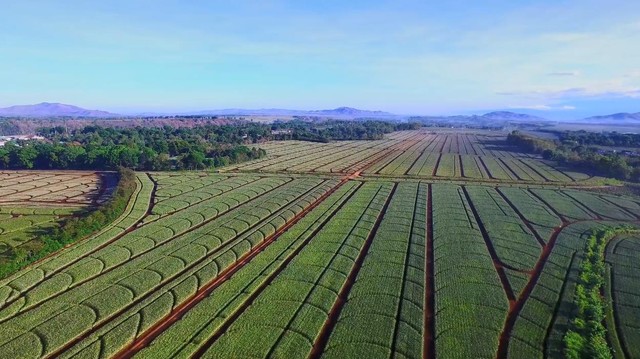 Vinamilk công bố đối tác liên doanh tại Philippines, có thương hiệu lâu đời và lợi thế lớn về kênh phân phối - Ảnh 3.