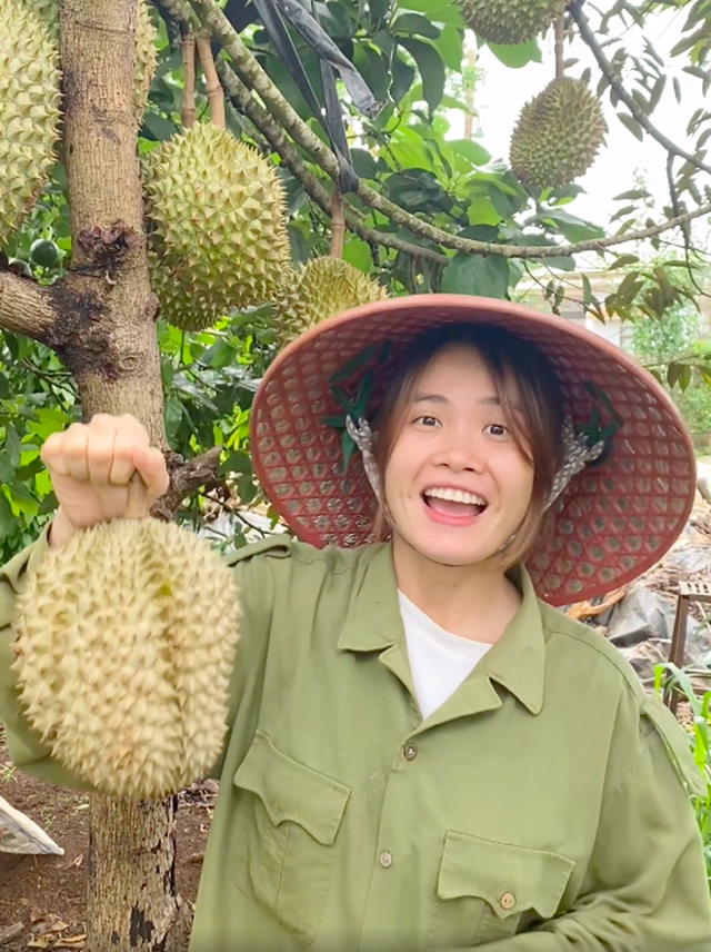  Bỏ Sài Gòn về quê làm vườn, cô nàng gây sốt với loạt clip viral: Sầu riêng, bơ trĩu quả, xem mà không thể kìm lòng! - Ảnh 2.