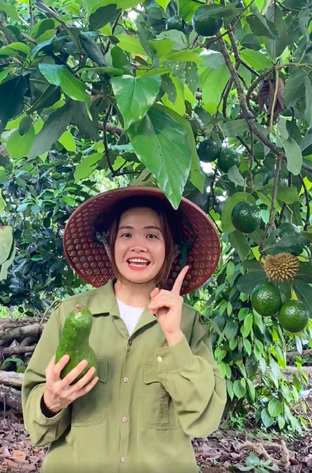  Bỏ Sài Gòn về quê làm vườn, cô nàng gây sốt với loạt clip viral: Sầu riêng, bơ trĩu quả, xem mà không thể kìm lòng! - Ảnh 4.