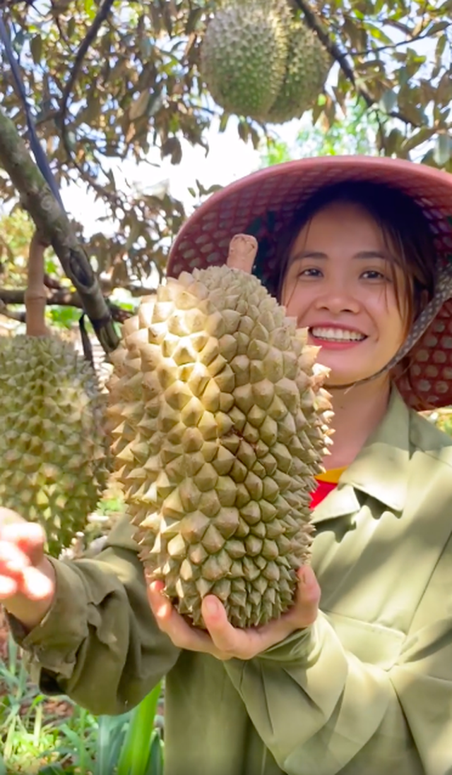  Bỏ Sài Gòn về quê làm vườn, cô nàng gây sốt với loạt clip viral: Sầu riêng, bơ trĩu quả, xem mà không thể kìm lòng! - Ảnh 7.
