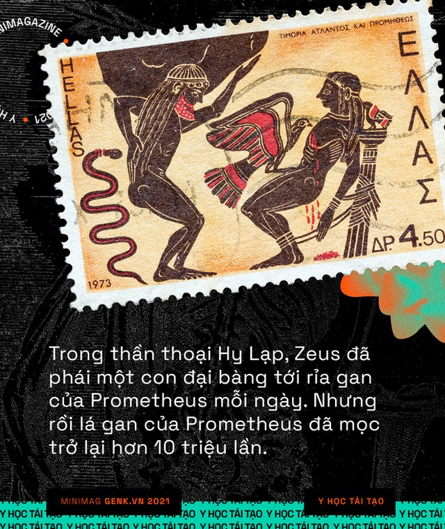 Y học tái tạo sẽ giúp con người mọc lại các bộ phận đã mất giống như loài thằn lằn - Ảnh 1. Y học tái tạo sẽ giúp con người mọc lại các bộ phận đã mất giống như loài thằn lằn - Ảnh 1.