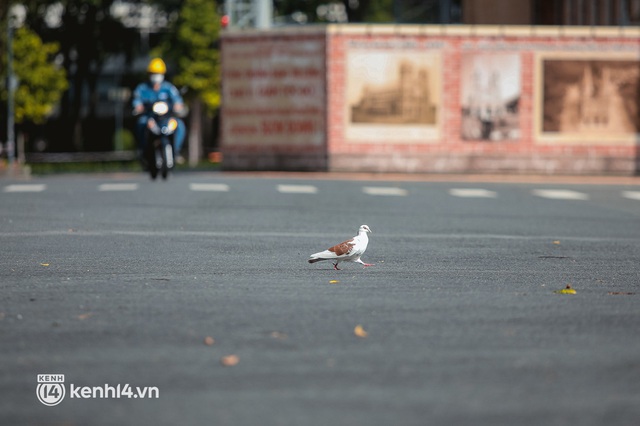     Đường phố Sài Gòn vắng lặng như ngày đầu thắt chặt khoảng cách: Không còn bóng shipper, 
