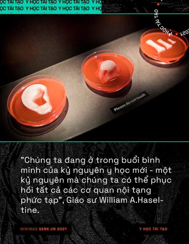 Y học tái tạo sẽ giúp con người mọc lại các bộ phận đã mất giống như loài thằn lằn - Ảnh 6. Y học tái tạo sẽ giúp con người mọc lại các bộ phận đã mất giống như loài thằn lằn - Ảnh 6.