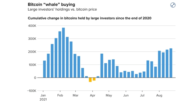  Hàng loạt cá voi đổ xô mua Bitcoin khi giá vọt lên 50.000 USD  - Ảnh 2.