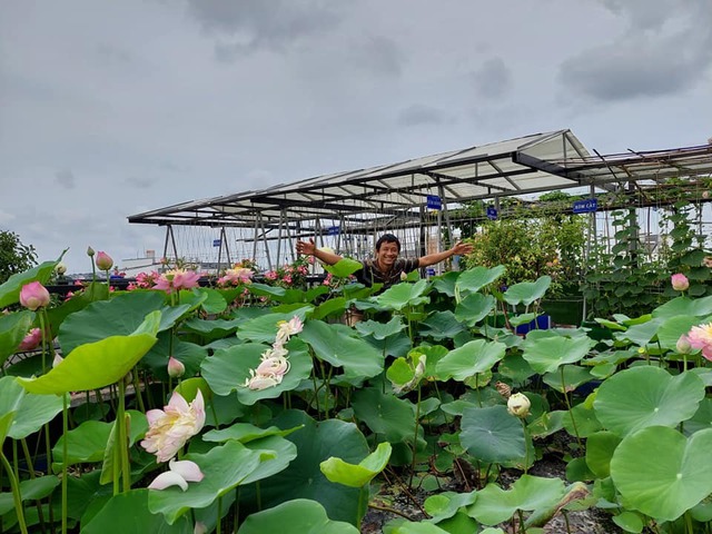 Trồng cây, nuôi gà trên nóc nhà giúp gia đình Sài Gòn sống ung dung những ngày hạn chế đi chợ - Ảnh 2.