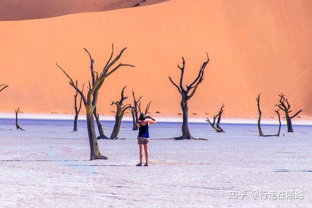 Skeleton Coast: Discover the most dangerous coast in the world - Photo 2. Skeleton Coast: Discover the most dangerous coast in the world - Photo 2.