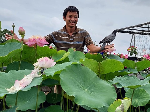 Trồng cây, nuôi gà trên nóc nhà giúp gia đình Sài Gòn sống ung dung những ngày hạn chế đi chợ - Ảnh 3.