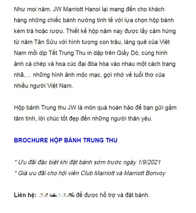 Các hãng bánh Trung thu đối diện với mùa làm ăn khó: ABC Bakery ngừng sản xuất, vài thương hiệu lớn bán cầm chừng hoặc xoay trục sang thị trường online  - Ảnh 7.