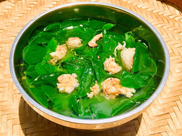  Đây là sai lầm tai hại khi ăn rau ngót, nhiều người Việt không biết để tránh  - Ảnh 3.