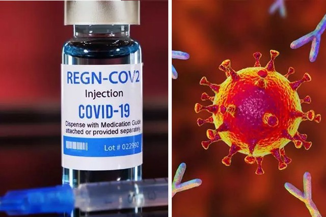 Thuốc kháng thể đơn dòng, vũ khí mới phòng và điều trị COVID-19 - Ảnh 3.