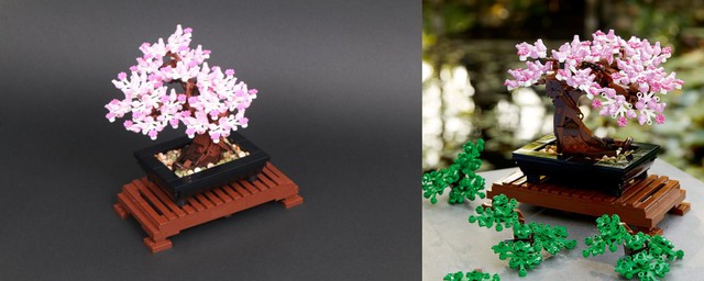 Ở nhà mùa dịch làm gì? “Trồng” bonsai LEGO sang xịn như cây thật, giá đến vài triệu/cây - Ảnh 4.