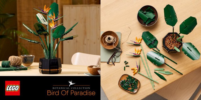 Ở nhà mùa dịch làm gì? “Trồng” bonsai LEGO sang xịn như cây thật, giá đến vài triệu/cây - Ảnh 2.