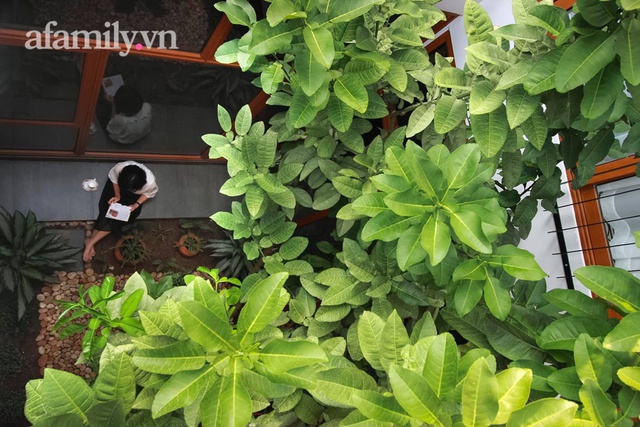 Chàng trai 30 tuổi xây căn nhà mái đổ ở Hải Phòng tặng mẹ khiến ai xem cũng phải trầm trồ: Tôi muốn bù đắp 1 phần những vất vả của mẹ trong quá khứ - Ảnh 6. Chàng trai 30 tuổi xây căn nhà mái đổ ở Hải Phòng tặng mẹ khiến ai xem cũng phải trầm trồ: Tôi muốn bù đắp 1 phần những vất vả của mẹ trong quá khứ - Ảnh 6.
