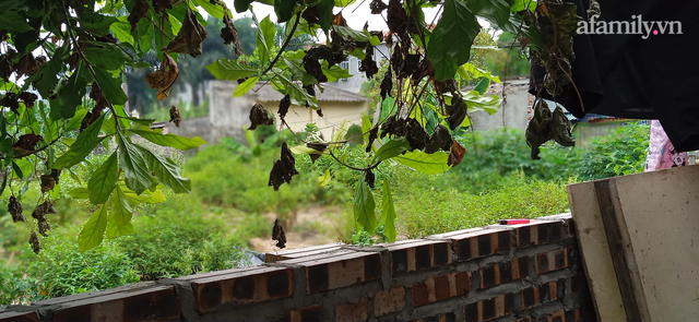 Cơm độn mì tôm và trưa hè giãn cách của lao động ngoại tỉnh ở Hà Nội: Những ngày thảnh thơi là những ngày đáng sợ nhất - Ảnh 5.