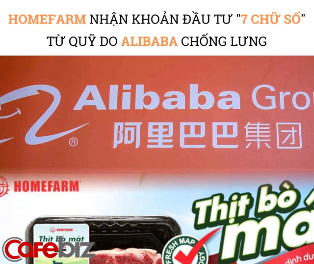 Quỹ đầu tư do ông lớn Alibaba chống lưng rót tiền vào Homefarm - Ảnh 1.