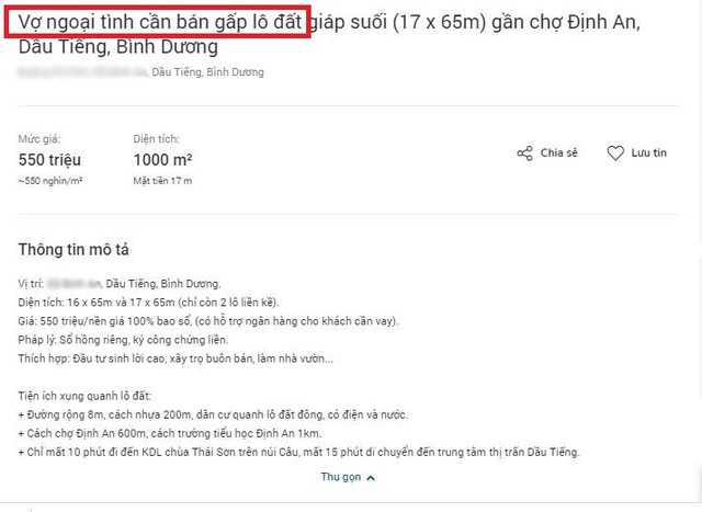 Vợ ngoại tình, lỡ làm bạn gái có bầu... mánh rao bán nhà đất bá đạo - Ảnh 1.