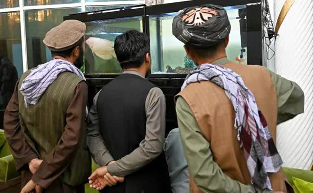  Taliban lác mắt vì cung điện xa hoa bậc nhất của cựu Phó tổng thống Afghanistan: Chỗ nào cũng sặc mùi tiền - Ảnh 4.