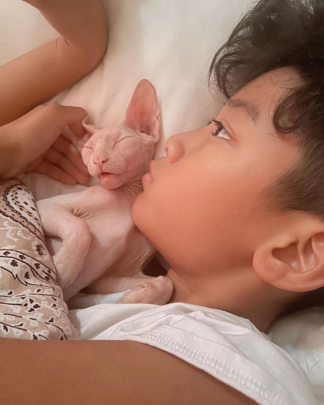 Hội nhà giàu chi bộn tiền cho thú vui xa xỉ: Mất đến cả trăm triệu mới được sở hữu lại còn phải phục vụ mệt nghỉ - Ảnh 15. Hội nhà giàu chi bộn tiền cho thú vui xa xỉ: Mất đến cả trăm triệu mới được sở hữu lại còn phải phục vụ mệt nghỉ - Ảnh 15.