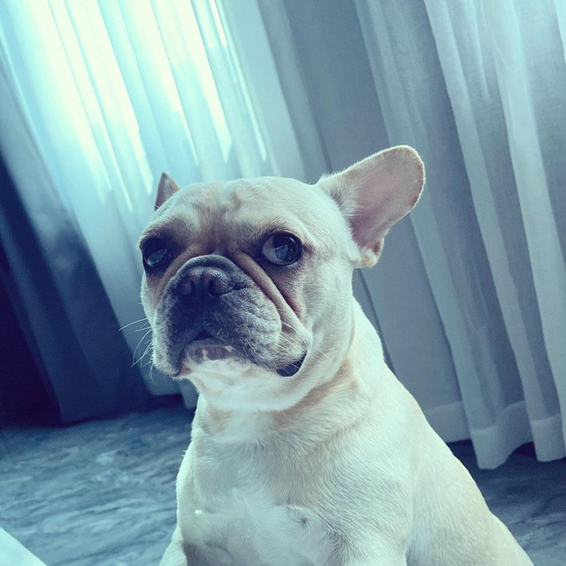 Hội nhà giàu chi bộn tiền cho thú vui xa xỉ: Mất đến cả trăm triệu mới được sở hữu lại còn phải phục vụ mệt nghỉ - Ảnh 23. Hội nhà giàu chi bộn tiền cho thú vui xa xỉ: Mất đến cả trăm triệu mới được sở hữu lại còn phải phục vụ mệt nghỉ - Ảnh 23.