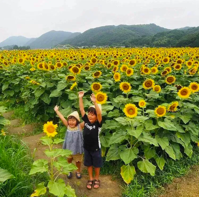 Bỏ việc về quê, nuôi cá và trồng thêm rau: Cuộc sống thảnh thơi, như mơ của đôi vợ chồng khiến nhiều người phát cuồng - Ảnh 13.