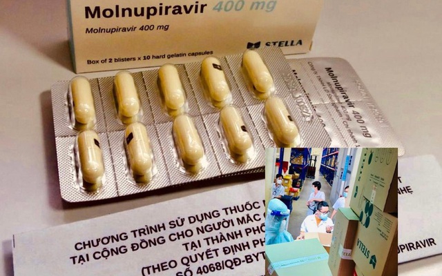 Thuốc kháng virus Molnupiravir đang được doanh nghiệp trong nước sản xuất và thử nghiệm điều trị F0 chưa được Bộ Y tế cấp phép nhưng rao bán tràn lan- ảnh L.N