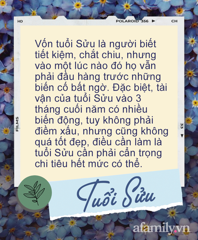 Tài vận 12 con giáp vào 3 tháng cuối năm 2021: Người tài vận vốn ổn định nay thăng hoa hơn, người cần phải chắt chiu mới vượt qua khổ ải - Ảnh 2.