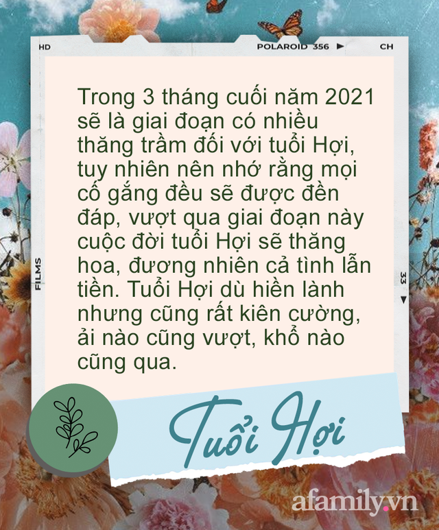 Tài vận 12 con giáp vào 3 tháng cuối năm 2021: Người tài vận vốn ổn định nay thăng hoa hơn, người cần phải chắt chiu mới vượt qua khổ ải - Ảnh 12.